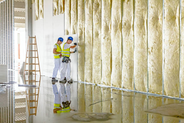 Best Batt and Roll Insulation  in Des Allemands, LA