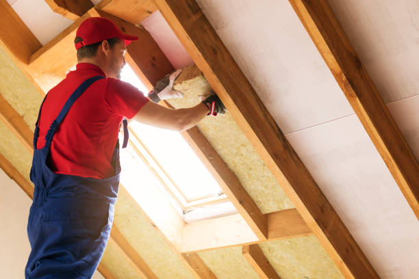 Best Basement Insulation  in Des Allemands, LA